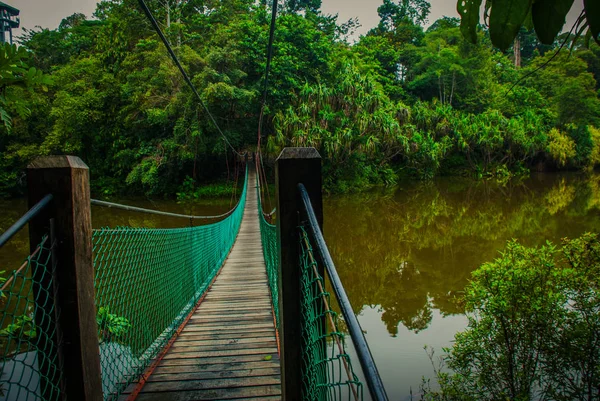 Göl, Borneo, Sabah, Malezya üzerinden asma köprü