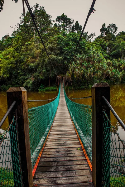 Göl, Borneo, Sabah, Malezya üzerinden asma köprü