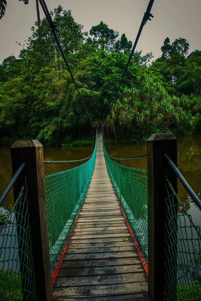 Göl, Borneo, Sabah, Malezya üzerinden asma köprü