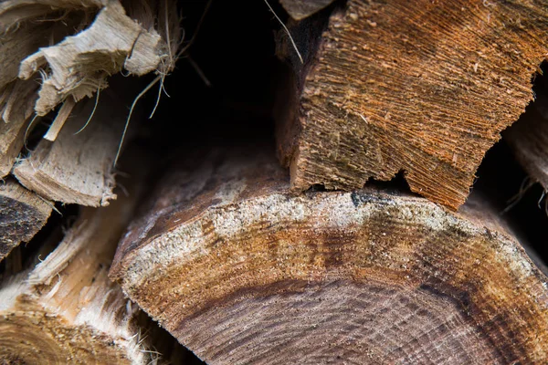 Preparation of firewood for the winter. firewood background. Pile of firewood. — Stock Photo, Image