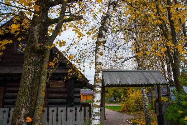 Vackra trähus i rysk stil. Huset där bodde sjuksköterskan av A. S. Pushkin. Leningrad oblast. — Stockfoto