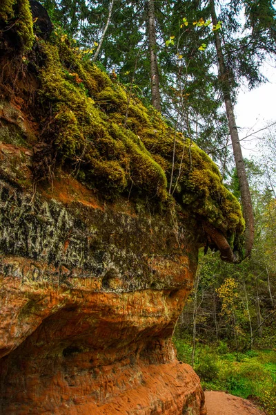 Cueva naranja en Rusia. Óblast de Leningrado . —  Fotos de Stock