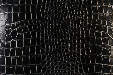 Siyah deri dokusu. Rugan
