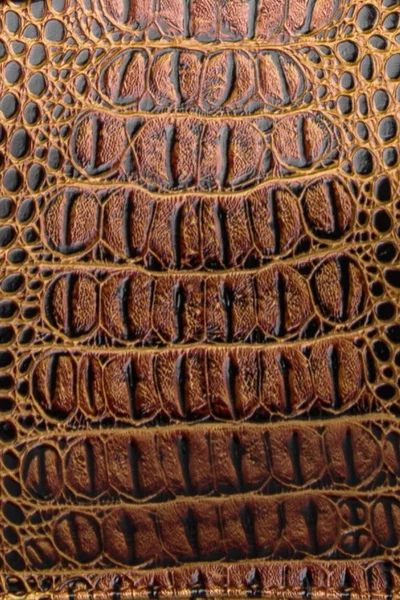 Tekstura skóry brązowy czarny. Imitacja skóry krokodyla petanova — Zdjęcie stockowe