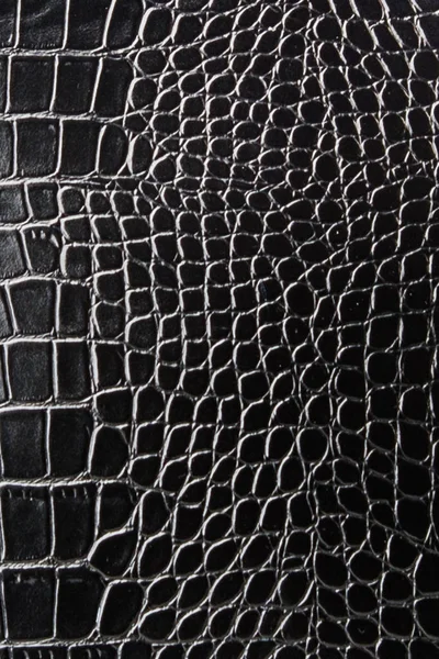 La textura del cuero en negro. Piel de patente —  Fotos de Stock