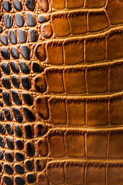 The texture of the skin brown black. An imitation Crocodile-skin petanova — Stock Photo, Image