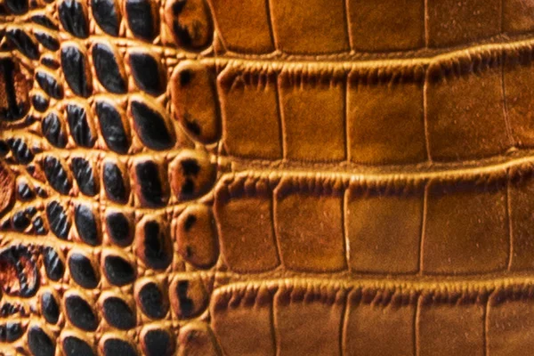 The texture of the skin brown black. An imitation Crocodile-skin petanova — Stock Photo, Image