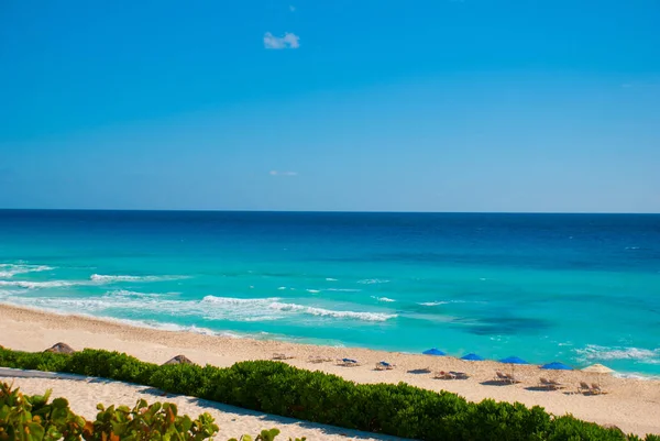 Cancun Mexiko Delfines beach tropické v Karibiku — Stock fotografie