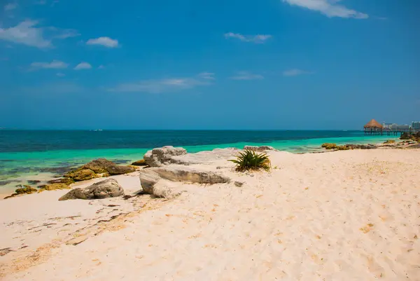 Paradis exotique. Tropical Resort. Mer des Caraïbes Jetty près de Cancun, Mexique. Mexique plage tropicale dans les Caraïbes — Photo