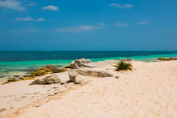 Paradis exotique. Tropical Resort. Mer des Caraïbes Jetty près de Cancun, Mexique. Mexique plage tropicale dans les Caraïbes — Photo
