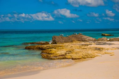 Egzotik cennet. Tropikal Resort. Cancun yakınındaki Karayip Denizi iskelesi. Meksika beach Karayipler'de tropikal