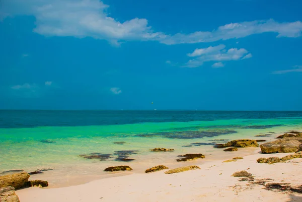 Εξωτικό παράδεισο. Τροπικό θέρετρο. Καραϊβική Θάλασσα, Κανκούν. Μεξικού παραλία τροπικής Καραϊβικής — Φωτογραφία Αρχείου