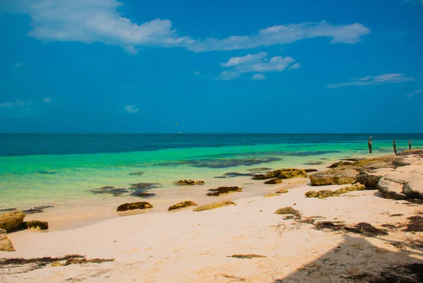 Paradis exotique. Tropical Resort. Mer des Caraïbes, Cancun. Mexique plage tropicale dans les Caraïbes — Photo