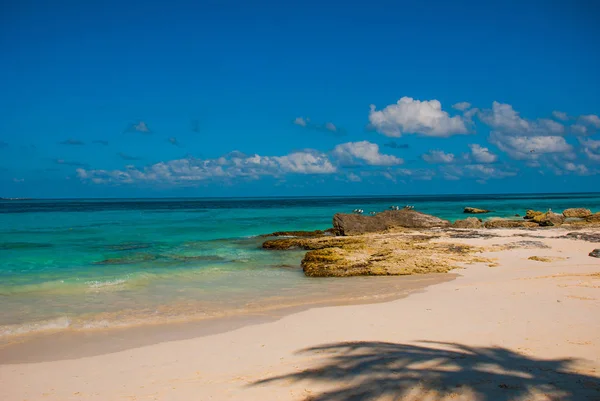 Exotic Paradise. Tropical Resort. Caribbean sea Jetty near Cancun. Mexico beach tropical in Caribbean — Stock Photo, Image