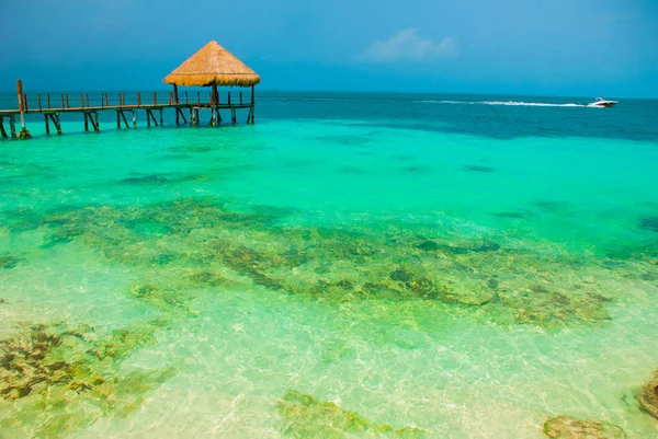 İskele ve plajda ahşap çardak. İskelesi ile tropikal manzara: Deniz, kum, kaya, dalgalar, turkuaz su. Meksika, Cancun — Stok fotoğraf