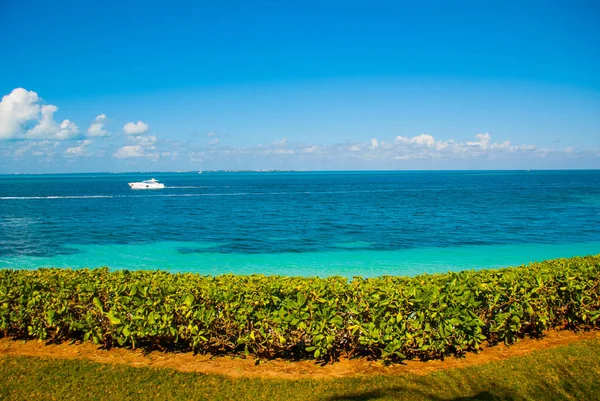 A vista do topo Exotic Paradise. Resort Tropical. Mar do Caribe Jetty perto de Cancún. México praia tropical — Fotografia de Stock