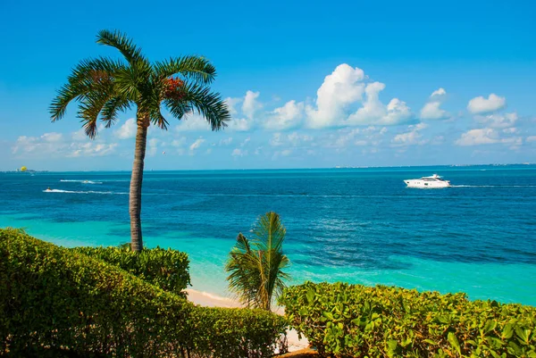 A vista do topo Exotic Paradise. Resort Tropical. Mar do Caribe Jetty perto de Cancún. México praia tropical — Fotografia de Stock