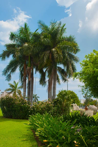 Palm trees Park. Monumenti insoliti vicino a Cancun. Messico — Foto Stock