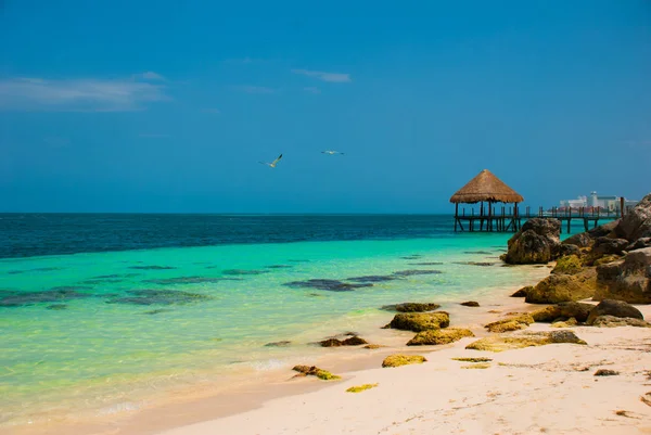 Muelle y mirador de madera junto a la playa. Paisaje tropical con Jetty: mar, arena, rocas, olas, agua turquesa. México, Cancún —  Fotos de Stock