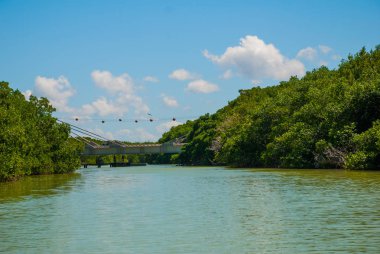 Nehir üzerinde köprü. Mangrov ağaçlar kuru. Rio Lagartos, Yucatan, Meksika