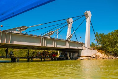 Nehir üzerinde köprü. Mangrov ağaçlar kuru. Rio Lagartos, Yucatan, Meksika