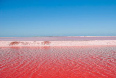 Rio Lagartos, Meksika, Yucatan yakınındaki tuz üretiminde kullanılan kırmızı havuzu çarpıcı