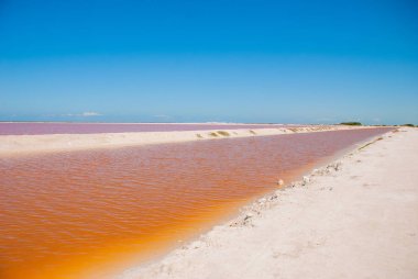 Striking red pool used in the production of salt near Rio Lagartos, Mexico, Yucatan clipart