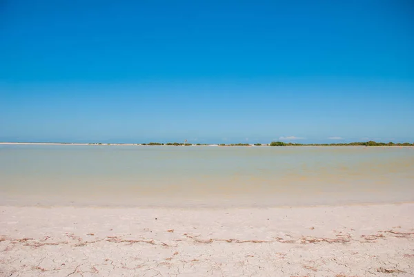Pembe bir gölün kıyısında görünümünü. Rio Lagartos, Yucatan, Meksika — Stok fotoğraf