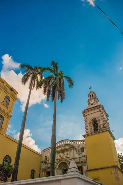 Catedral Católica de color amarillo con palmeras contra el cielo en el centro de La Habana. Cuba — Foto de Stock