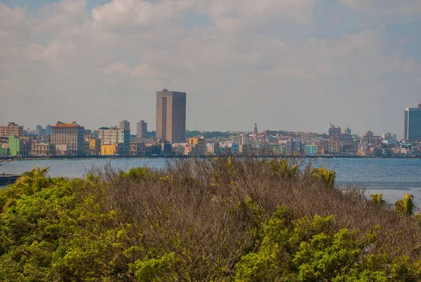 Şehir ve Bay uzaktan manzara. Havana. Küba