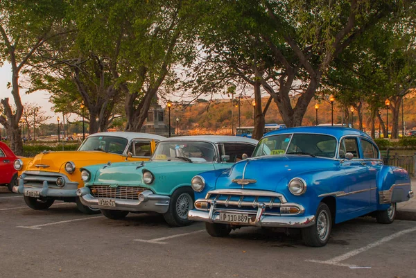 Ретро автомобілі, припарковані, очікування для туристів, щоб дослідити місто. Стара Гавана, Куба — стокове фото