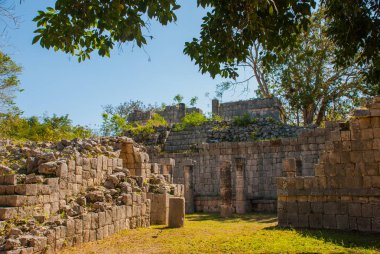 Antik Maya şehir. Binalar ve Piramitler ormandaki yok. Chichen Itza, Meksika. Yucatan