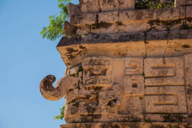 Antik Maya çizimler taş üzerinde. Taş dokusu. Chichen Itza, Meksika. Yucatan