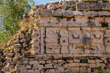 Antik Maya çizimler taş üzerinde. Taş dokusu. Chichen Itza, Meksika. Yucatan