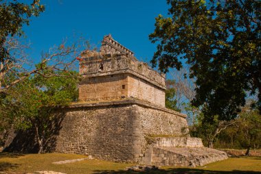 Antik Maya şehir. Binalar ve Piramitler ormandaki yok. Chichen Itza, Meksika. Yucatan
