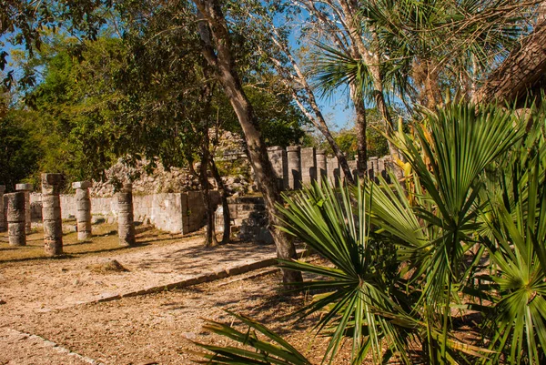 Ősi maja város, részlegesen fennmaradt épületek. Chichén-Itzá, Mexikó. Yucatan — Stock Fotó