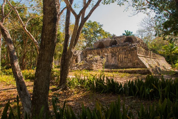 Ősi maja város, részlegesen fennmaradt épületek. Chichén-Itzá, Mexikó. Yucatan — Stock Fotó