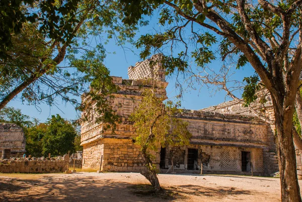 고 대 마 야 도시입니다. 건물과 숲의 피라미드를 파괴. Chichen-Itza, 멕시코입니다. 유카탄 — 스톡 사진