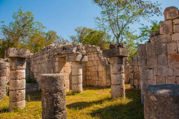 Antik Maya şehir. Antik Maya şehir. Yıkılan binalar ve orman sütunlar. Chichen Itza, Meksika. Yucatan — Stok fotoğraf