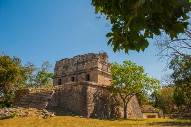 Antik Maya şehir. Binalar ve Piramitler ormandaki yok. Chichen Itza, Meksika. Yucatan