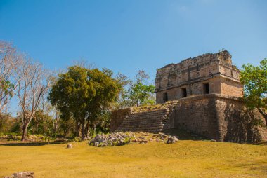 Antik Maya şehir. Binalar ve Piramitler ormandaki yok. Chichen Itza, Meksika. Yucatan