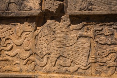 Antik Maya çizimler taş üzerinde. Taş dokusu. Chichen Itza, Meksika. Yucatan
