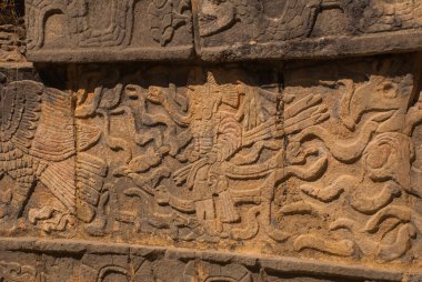 Antik Maya çizimler taş üzerinde. Taş dokusu. Chichen Itza, Meksika. Yucatan