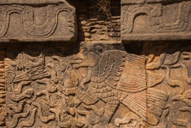 Antik Maya çizimler taş üzerinde. Taş dokusu. Chichen Itza, Meksika. Yucatan