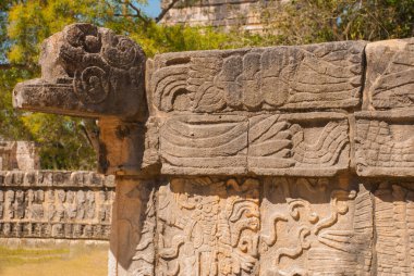 Antik Maya çizimler taş üzerinde. Taş dokusu. Chichen Itza, Meksika. Yucatan