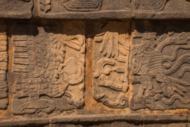 Antik Maya çizimler taş üzerinde. Taş dokusu. Chichen Itza, Meksika. Yucatan