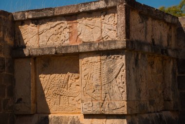 Antik Maya çizimler taş üzerinde. Taş dokusu. Chichen Itza, Meksika