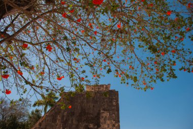 Antik Maya şehir. Harap binalar ve piramitler. Chichen Itza, Meksika. Yucatan
