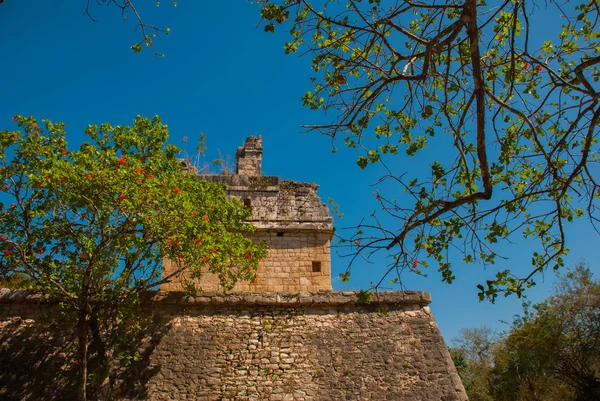 Αρχαία πόλη των Μάγια. Καταστρέφονται κτίρια και πυραμίδες στο δάσος. Το Chichen-Itza, Μεξικό. Χερσόνησος Γιουκατάν — Φωτογραφία Αρχείου