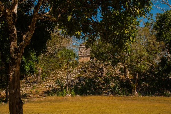 Древний город Майя. Разрушенные здания и пирамиды в лесу. Чичен-Ица, Мексика. Юкатан — стоковое фото